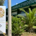 Οι εθελοντές που βρίσκονται πάντα στην πρώτη γραμμή – και η Αθηναϊκή Ζυθοποιία στο πλευρό τους