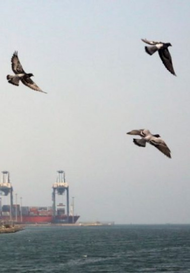 Επίθεση των Χούθι σε εγκαταστάσεις της Saudi Aramco – Κλιμακώνεται η ένταση στην Ερυθρά Θάλασσα