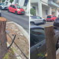 Πάτρα: Χειροπέδες σε καταστηματάρχες για αυθαίρετη κοπή δέντρων και καταστροφή δημοτικής περιουσίας