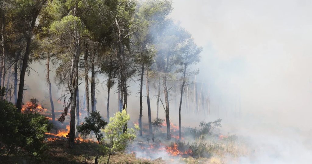 Ριπές που φτάνουν τα 70 χλμ. στην Αττικοβοιωτία – Τι προβλέπει το Αστεροσκοπείο για αύριο