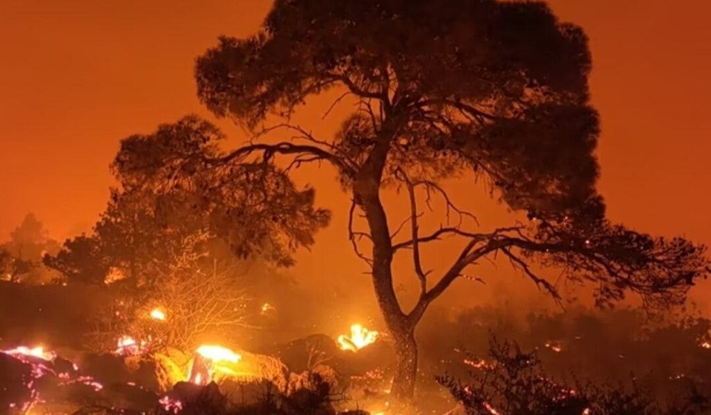 Πύρινη κόλαση στην Αττικοβοιωτία: Στις φλόγες ο Κιθαιρώνας, εκκενώθηκε η Ψάθα, κρίσιμο το μέτωπο στη Βένιζα