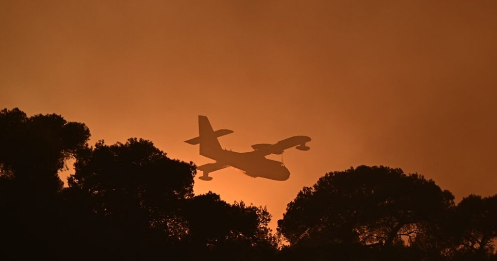 WWF: Πάνω από 180.000 στρέμματα καμένων δασικών εκτάσεων σε λίγες μόλις μέρες στην Ελλάδα