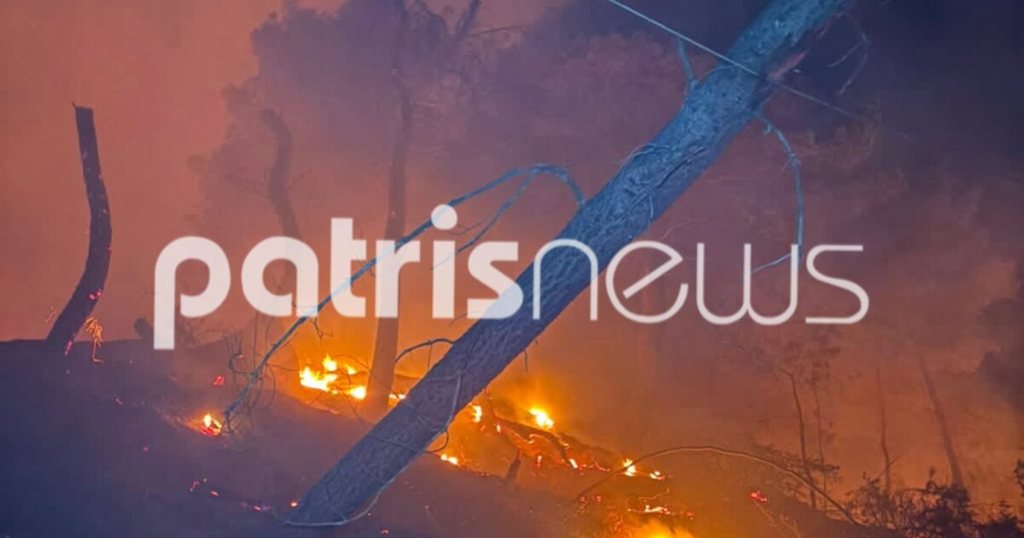 Μεγάλη φωτιά στην Αλφειούσα, καίει δάσος