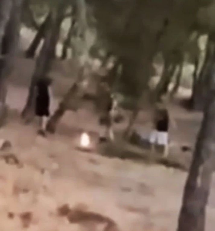 Εντοπίστηκαν οι 13χρονοι που έπαιζαν με τη φωτιά μέσα σε δάσος στη Πεντέλη για ένα challenge