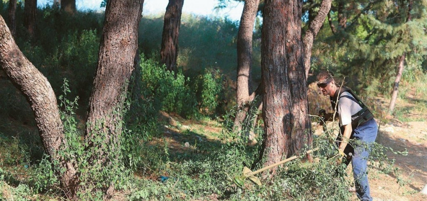 ∆εκάδες ή και εκατοντάδες ακαθάριστα οικόπεδα «πολιορκούν» τις γειτονιές της Πάτρας