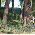 ∆εκάδες ή και εκατοντάδες ακαθάριστα οικόπεδα «πολιορκούν» τις γειτονιές της Πάτρας
