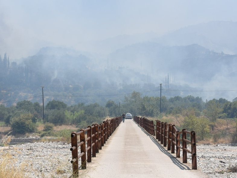 Αιγιάλεια: Παράταση έως τις 21 Αυγούστου για τις δηλώσεις ζημιών από την πυρκαγιά
