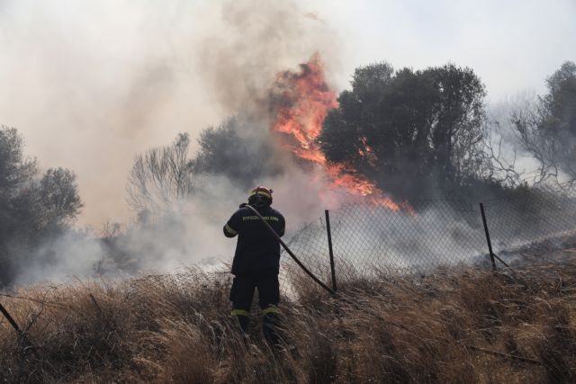 Υψηλός κίνδυνος πυρκαγιάς την Κυριακή 23 Αυγούστου – Οι επικίνδυνες περιοχές