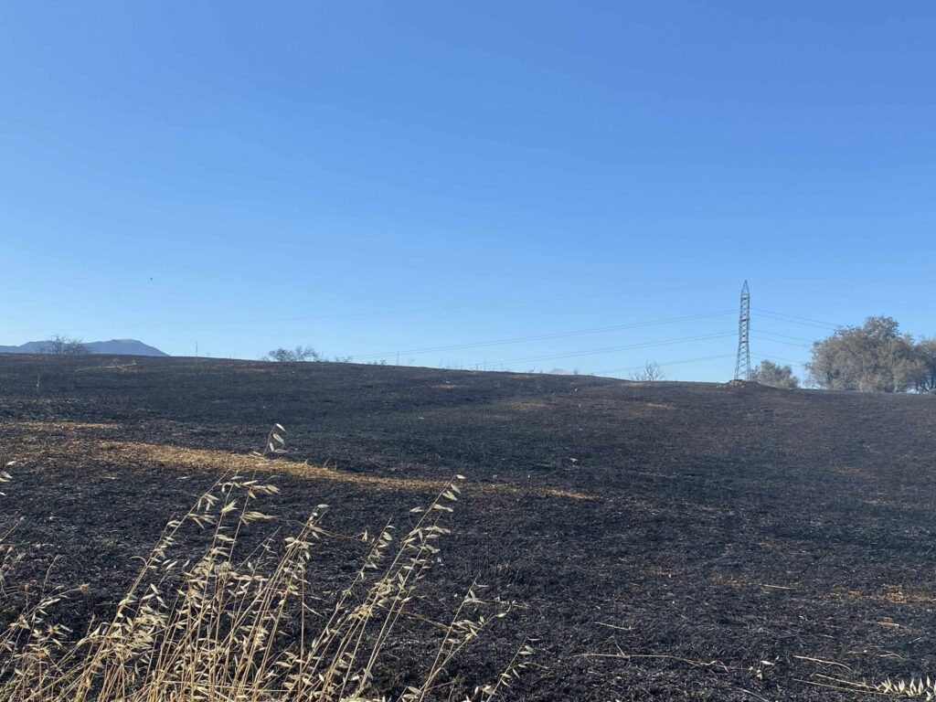 Ξυλόκαστρο: Σύλληψη 58χρονου για πυρκαγιά σε φωτοβολταϊκό πάρκο