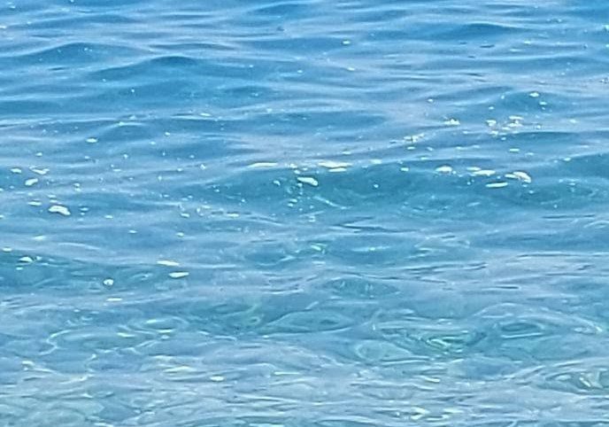 Παραλία Ακράτας: Αφροί και υποψία για απόβλητα στη θάλασσα