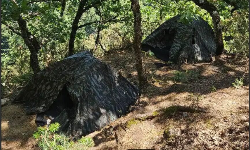 Κορινθία: Ταυτοποιήθηκε 60χρονος για τη φυτεία με τα 890 δενδρύλλια κάνναβης