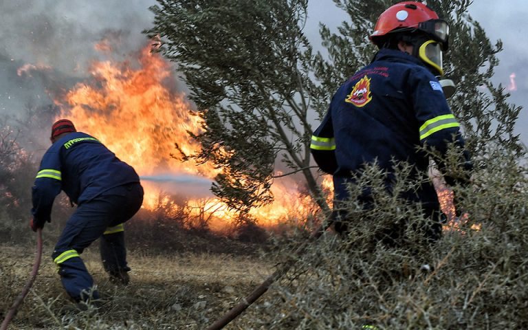 Αιγιάλεια: Άμεση επέμβαση της Πυροσβεστικής, υπό έλεγχο η φωτιά στον ποταμό Φοίνικα στο Σαλμενίκο