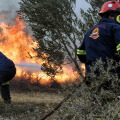 Αιγιάλεια: Άμεση επέμβαση της Πυροσβεστικής, υπό έλεγχο η φωτιά στον ποταμό Φοίνικα στο Σαλμενίκο