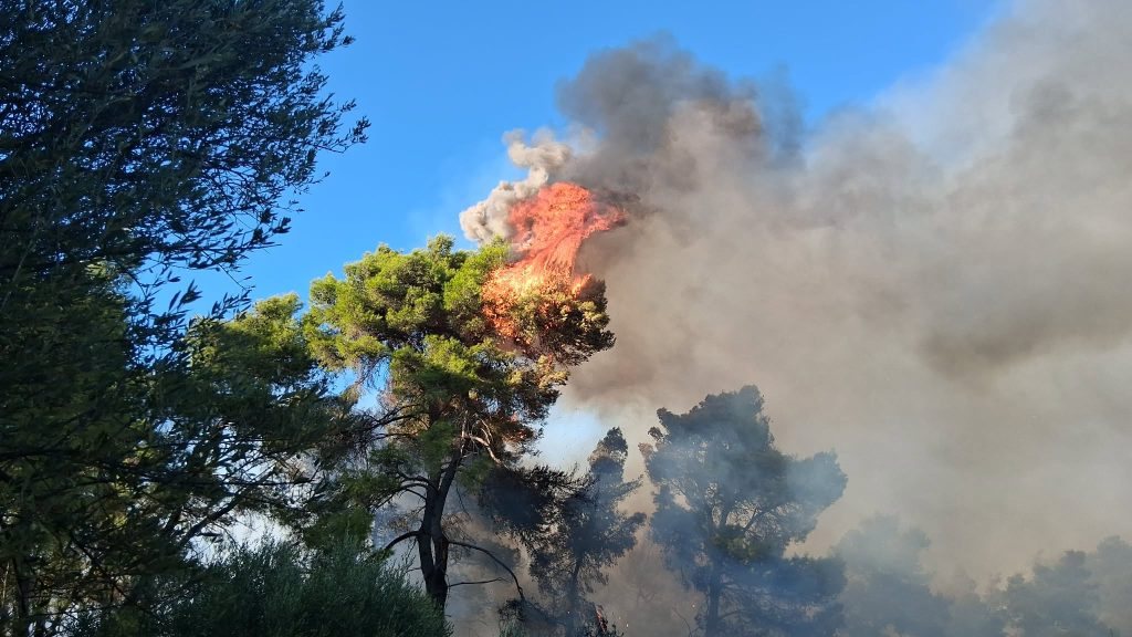 Φωτιά στη Σκιλλουντία Ηλείας – Ενισχύθηκαν οι δυνάμεις στη μάχη για να μην επεκταθούν οι φλόγες