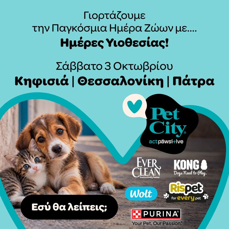 Πάτρα: Ημέρα υιοθεσίας στα Ψηλαλώνια