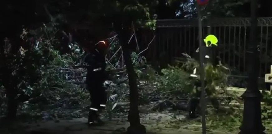 Δέντρο κατέρρευσε στο κέντρο της Αθήνας – Έπεσε δίπλα στο Μέγαρο Μαξίμου
